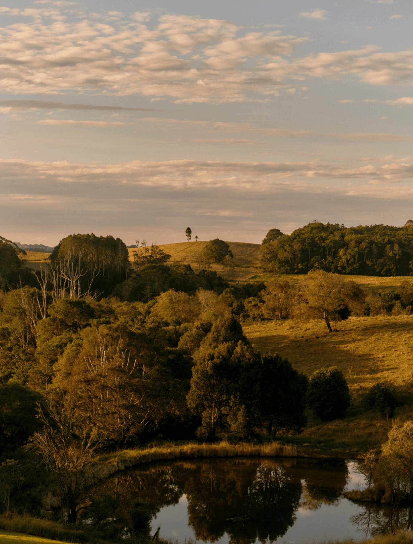 BATHOUSE_QT_583-scaled 8